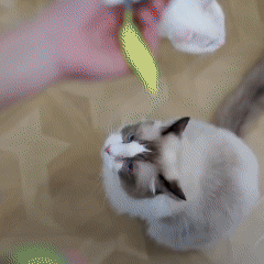 Pelota Inteligente Para Gatos con Detención automática 🐱