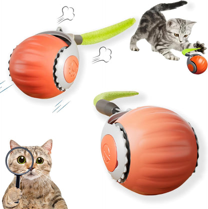 Pelota Inteligente Para Gatos con Detención automática 🐱